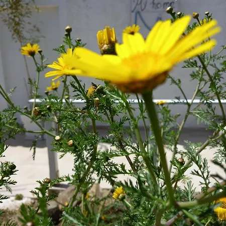 Holiday home Luxury Loving