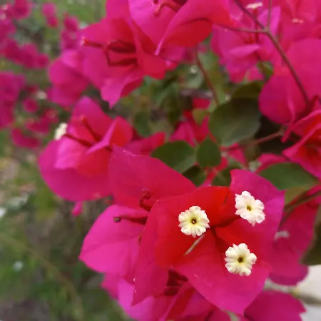 Holiday home Luxury Loving