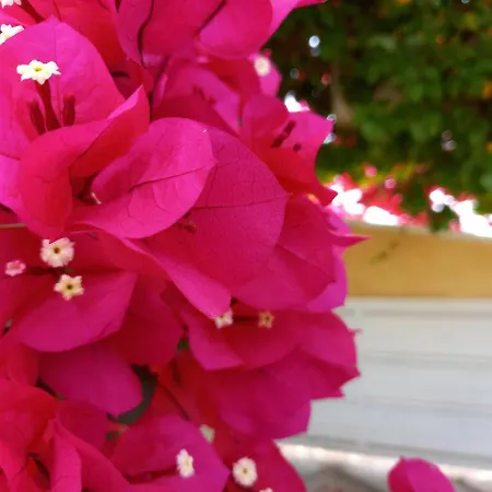 Casa vacanze Luxury Loving *