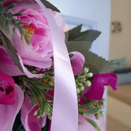 Luxury Loving Tolón