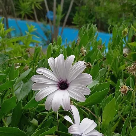 Luxury Loving Casa vacanze *