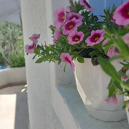 Luxury Loving * Tolón