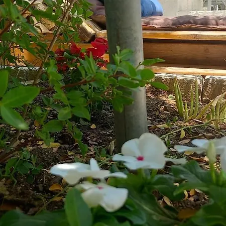 Luxury Loving 펜션 *