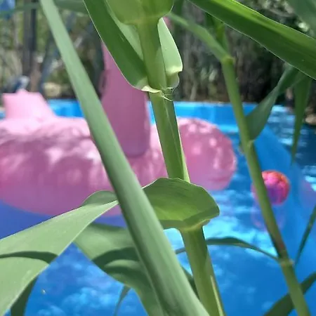 Luxury Loving 펜션 Tolón