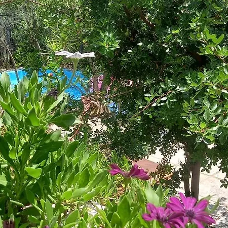 Luxury Loving Casa vacanze Tolón