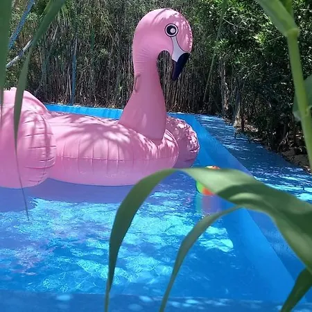 Casa vacanze Luxury Loving