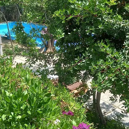 Luxury Loving * Τολό