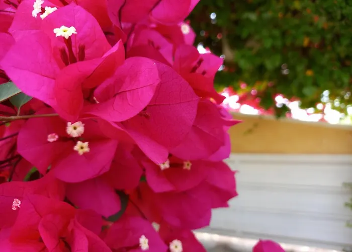 Nyaraló Luxury Loving *