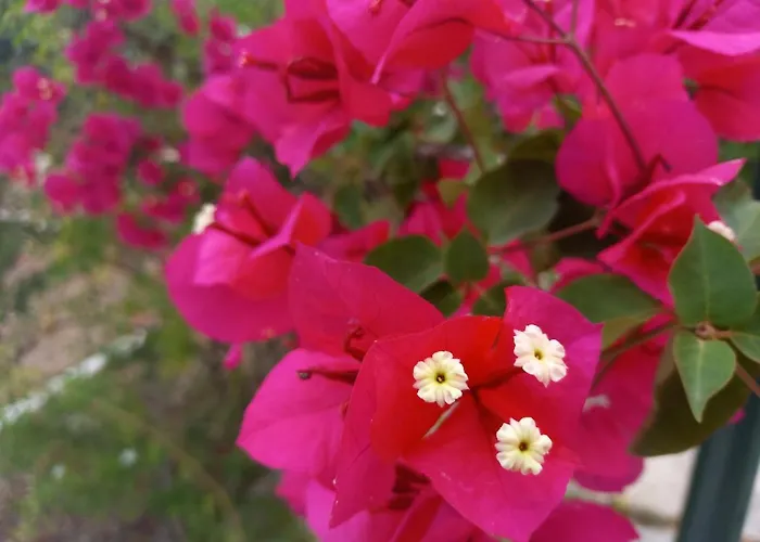 Prázdninový dům Luxury Loving