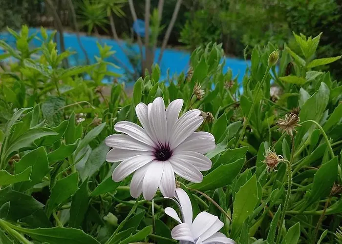 Luxury Loving Prázdninový dům *