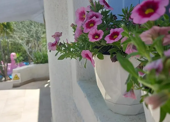 Luxury Loving * Tolón