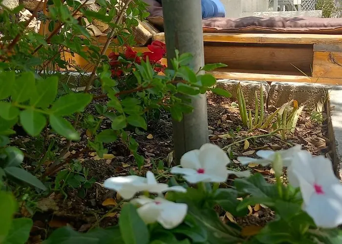 Luxury Loving Prázdninový dům *