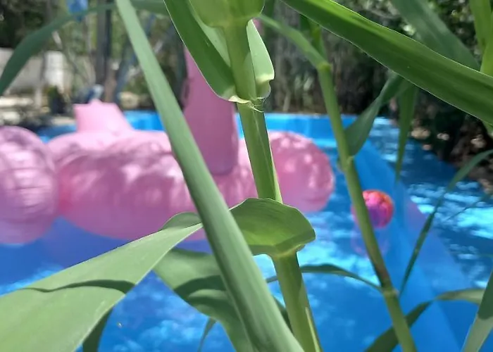 Luxury Loving Prázdninový dům Tolón