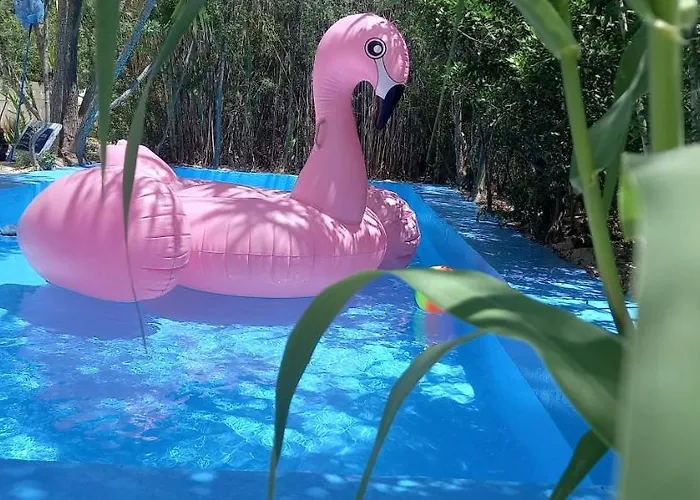 Prázdninový dům Luxury Loving