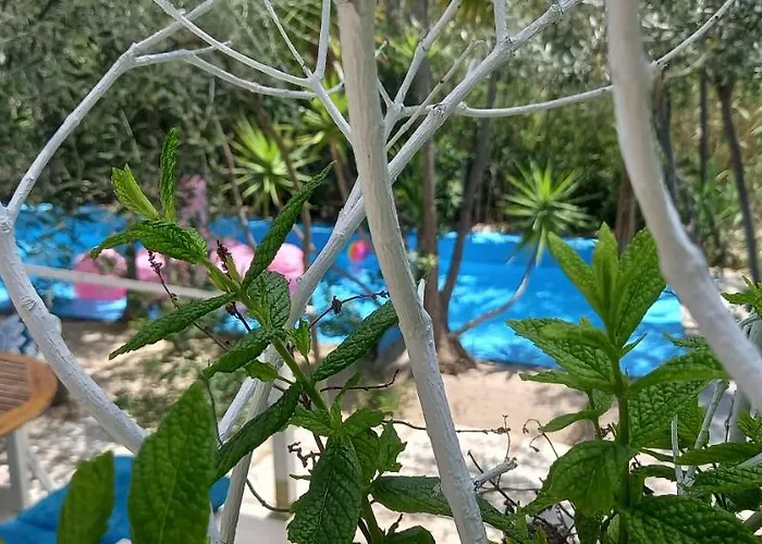 Prázdninový dům Luxury Loving