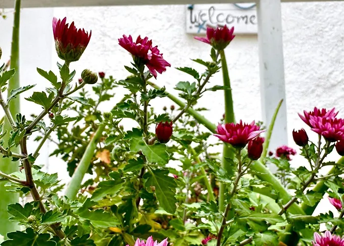 Prázdninový dům Luxury Loving