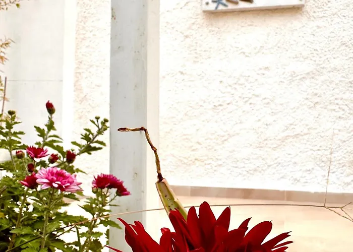 Prázdninový dům Luxury Loving Tolón